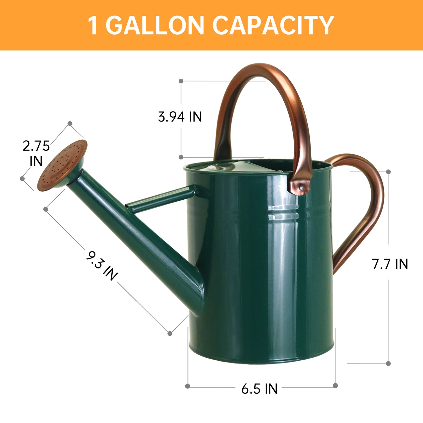 1 Gallon Metal Watering Can for Outdoor & Indoor Use, Perfect for Garden Flower, Houseplants,