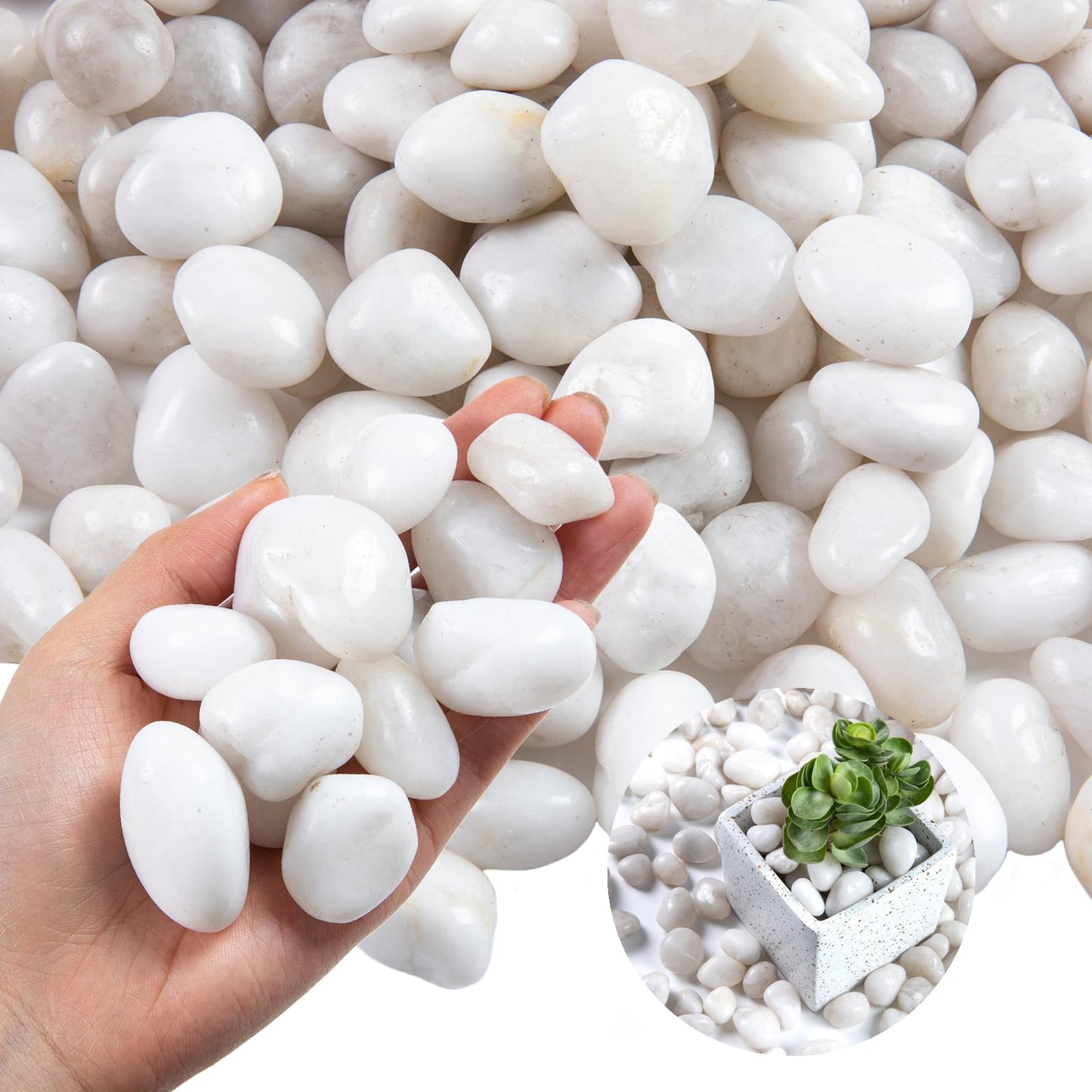 High Polished White Pebbles for Indoor Plants- Aquarium Fish Tank -Outdoor Garden Landscaping