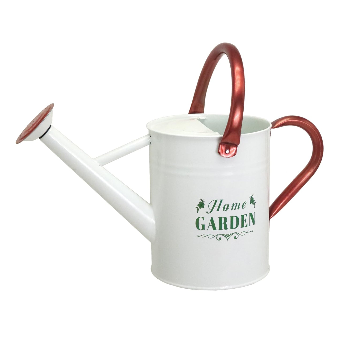 1 Gallon Metal Watering Can for Outdoor & Indoor Use, Perfect for Garden Flower, Houseplants,