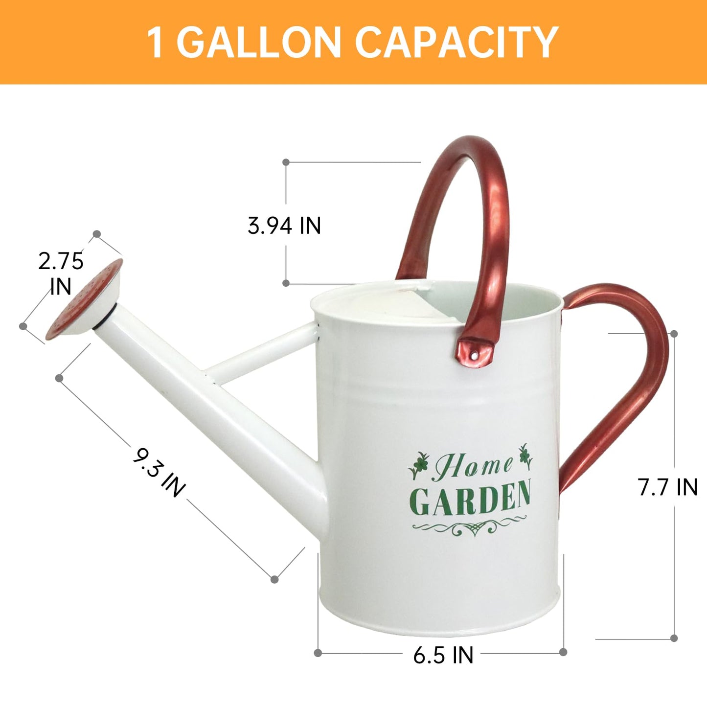 1 Gallon Metal Watering Can for Outdoor & Indoor Use, Perfect for Garden Flower, Houseplants,