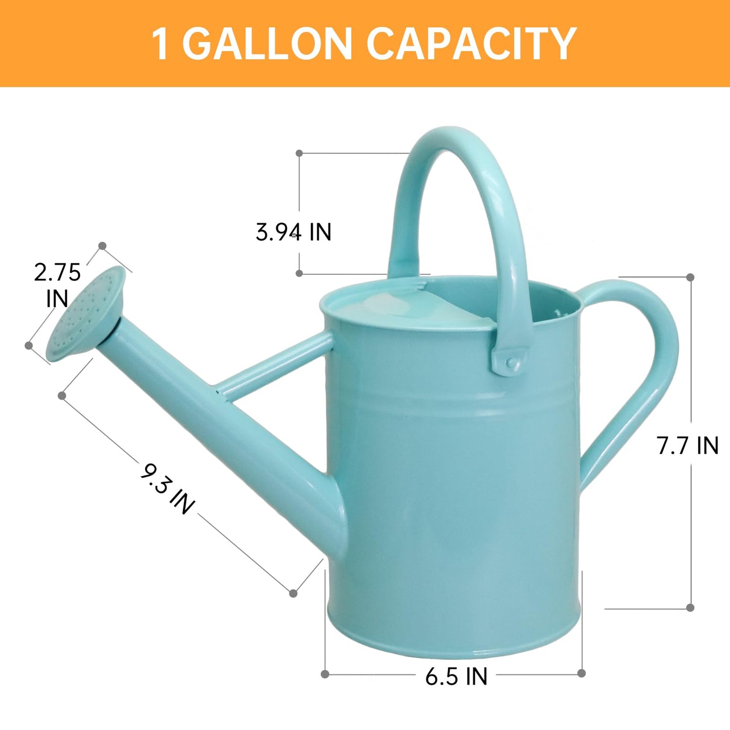 1 Gallon Metal Watering Can for Outdoor & Indoor Use, Perfect for Garden Flower, Houseplants,