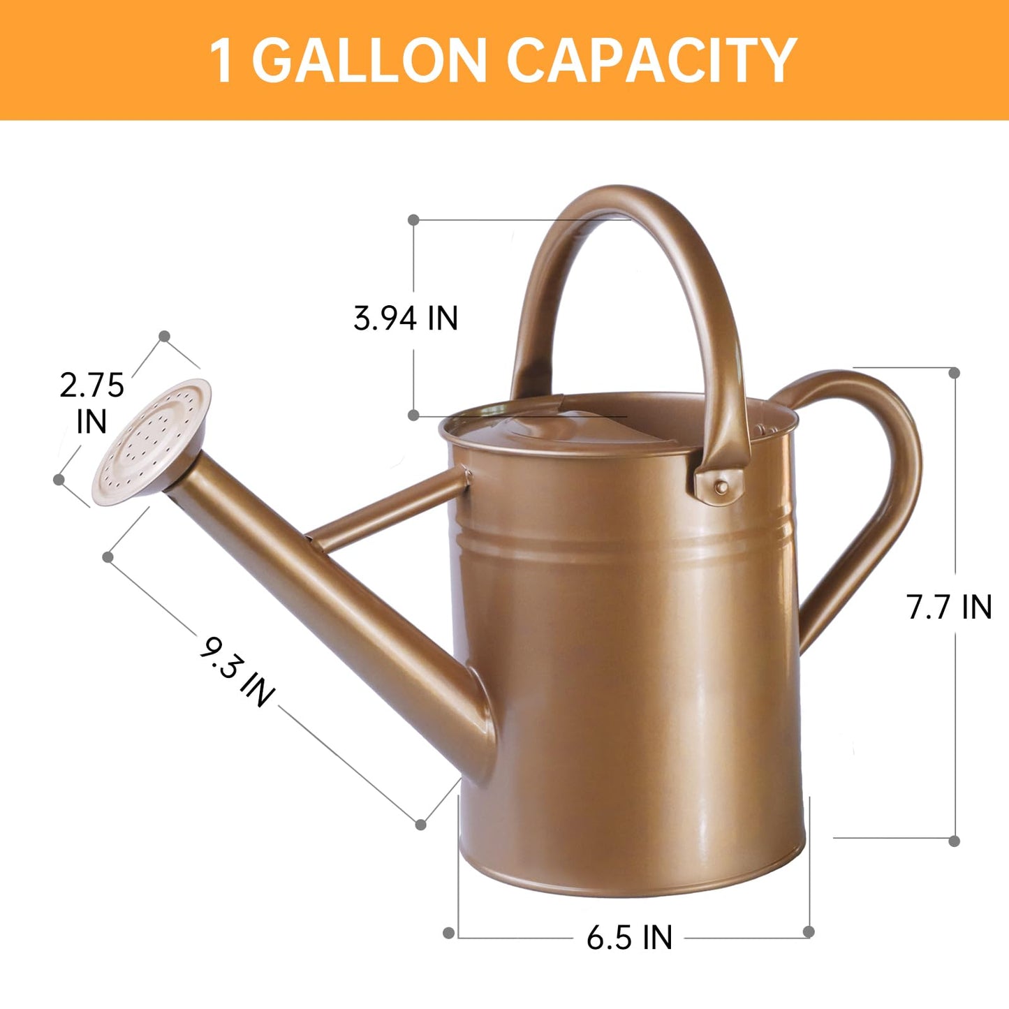 1 Gallon Metal Watering Can for Outdoor & Indoor Use, Perfect for Garden Flower, Houseplants,