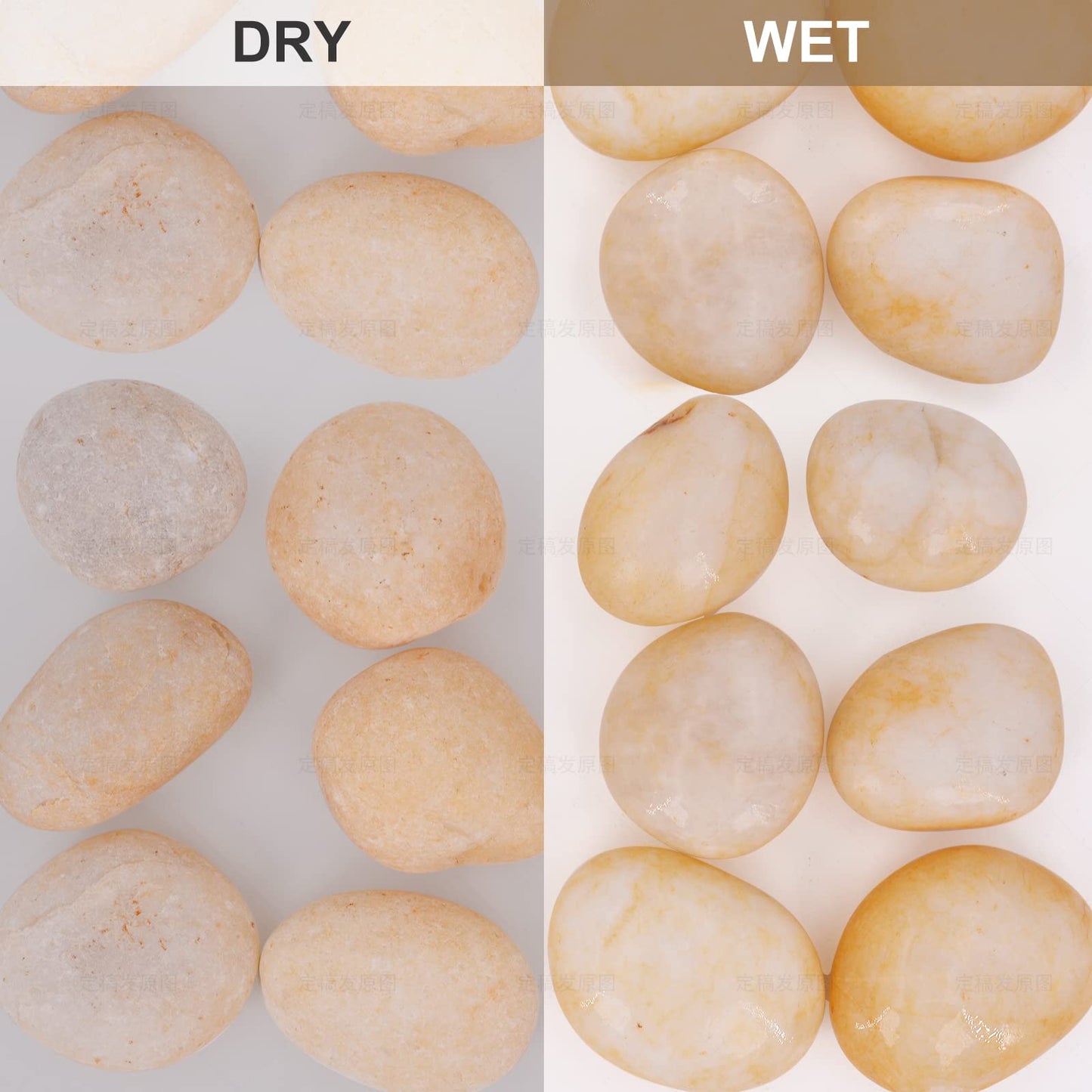 Cream White River Rocks Outdoor Landscaping- Polished Pebble for Plants – Garden Decorative Stones-1-2" Large Plant Rocks,Ideal for Aquarium, Home Decor