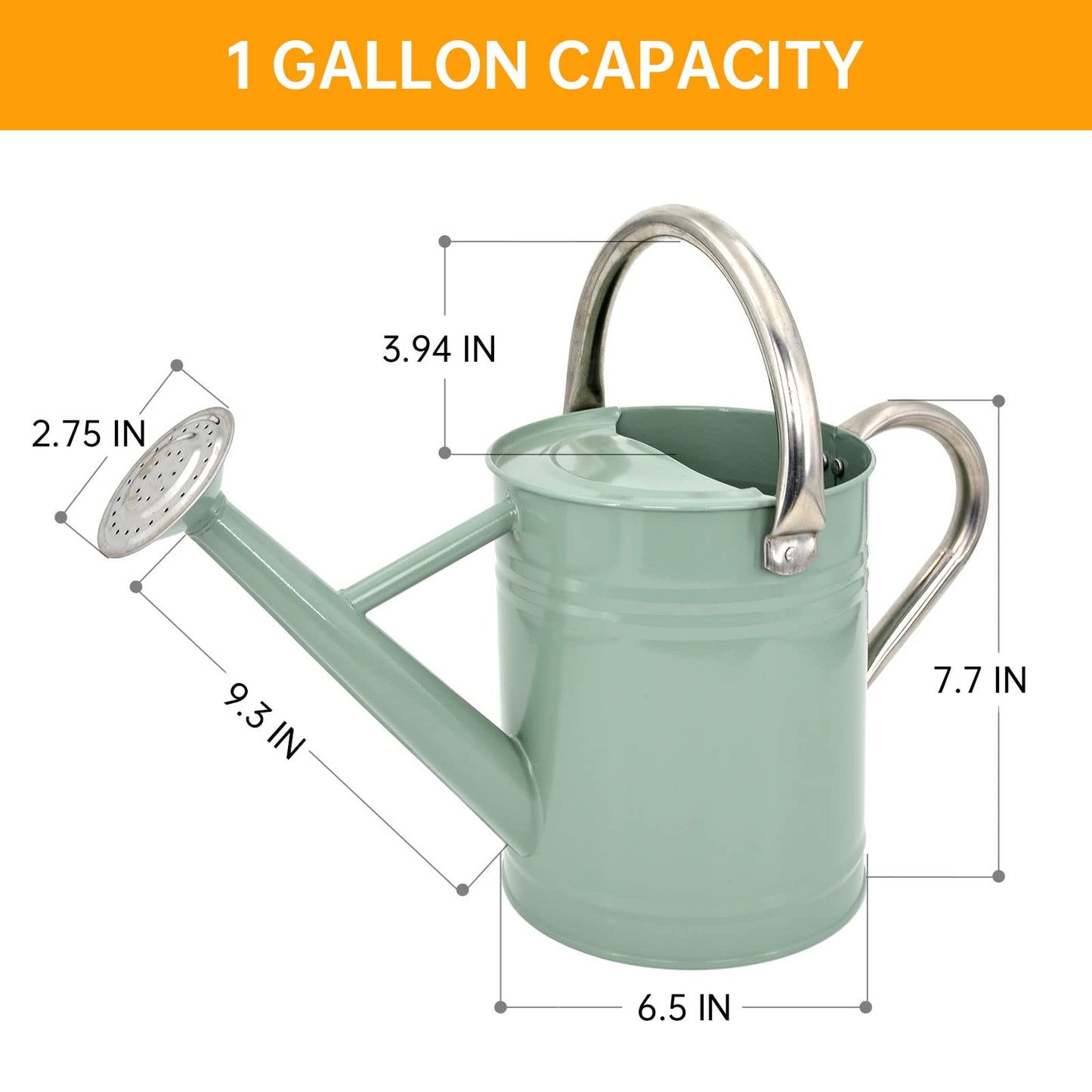 1 Gallon Metal Watering Can for Outdoor & Indoor Use, Perfect for Garden Flower, Houseplants,