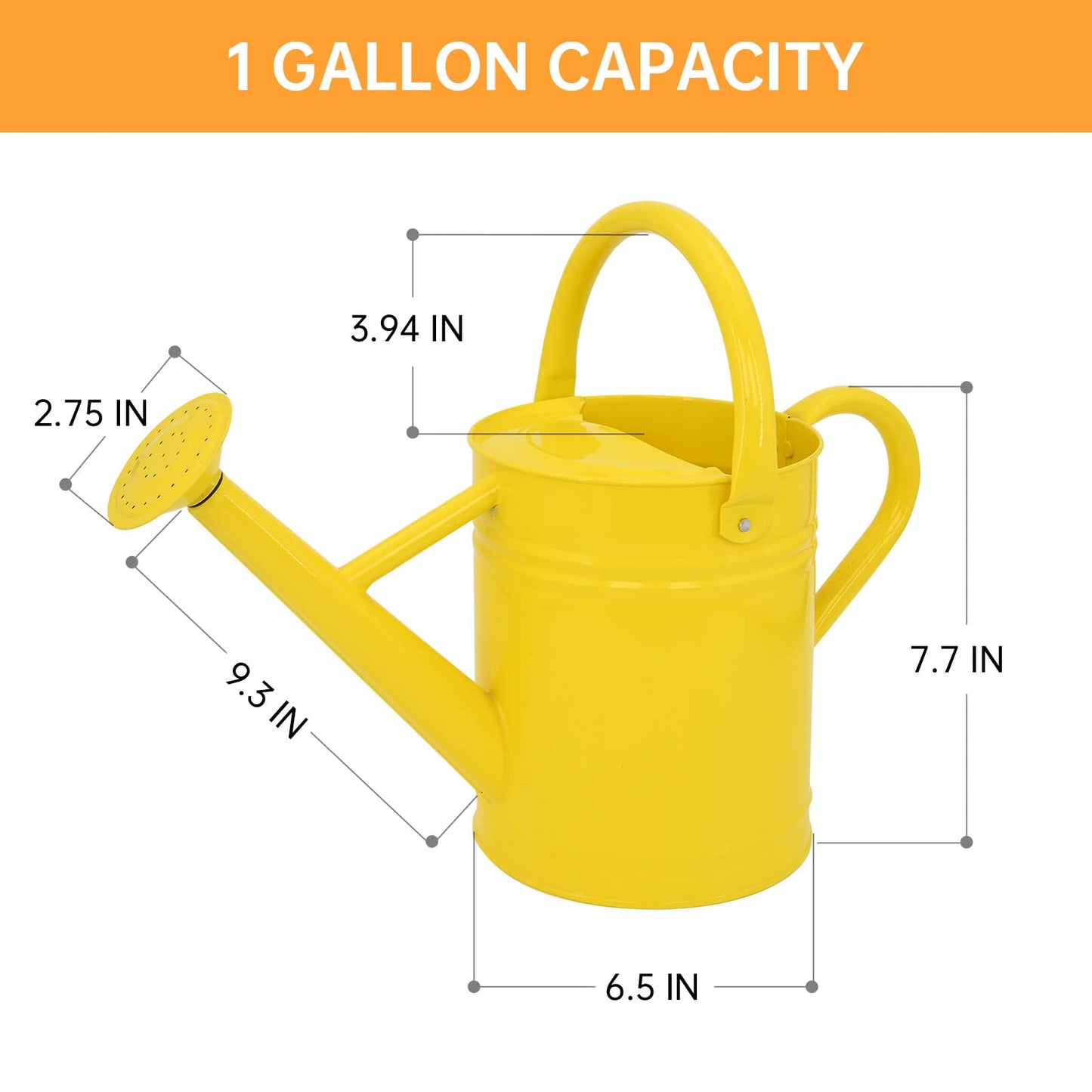 1 Gallon Metal Watering Can for Outdoor & Indoor Use, Perfect for Garden Flower, Houseplants,