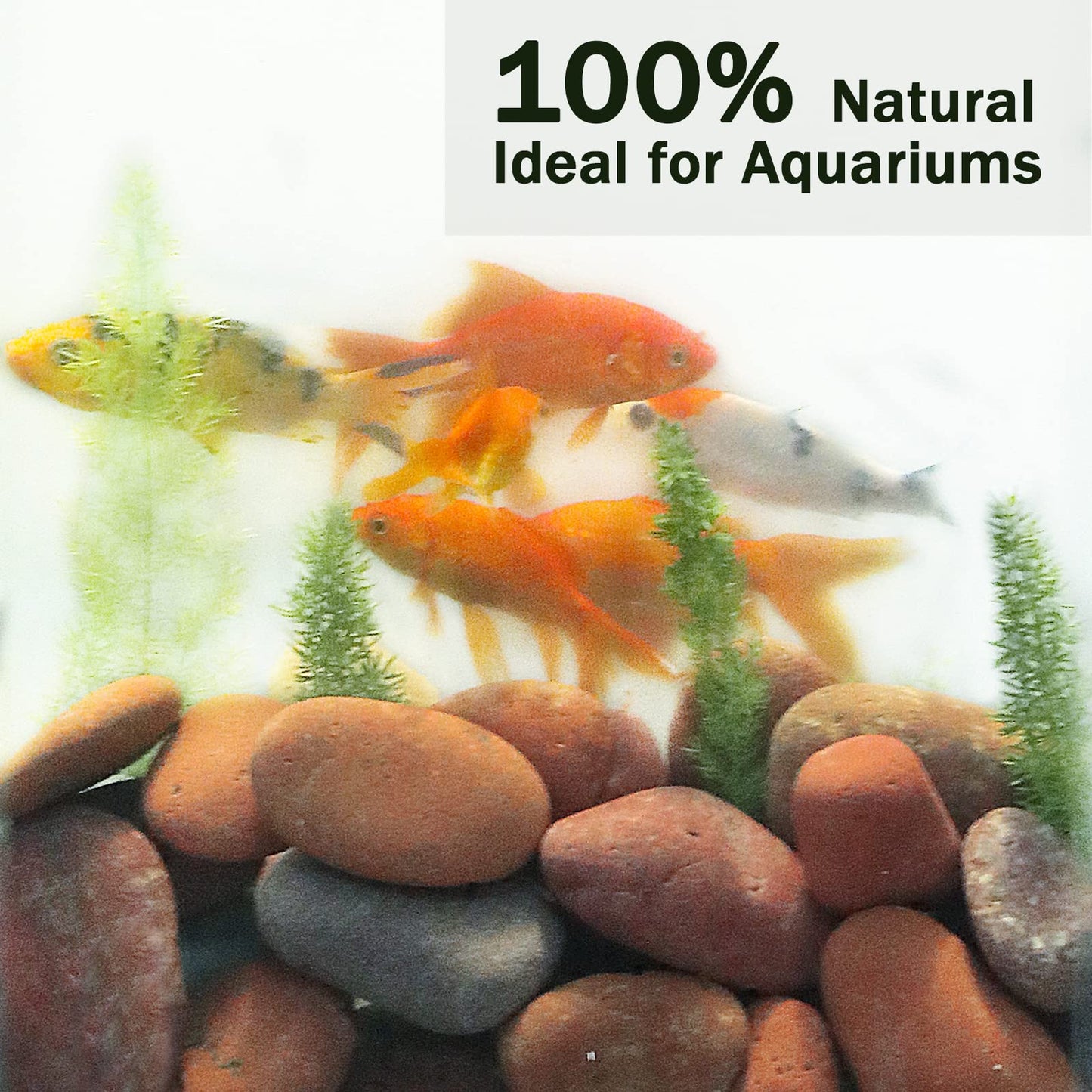 Red Smooth Pebbles River Rocks for Landscaping, Ideal for Home Decor, Aquariums, Painting, Crafting