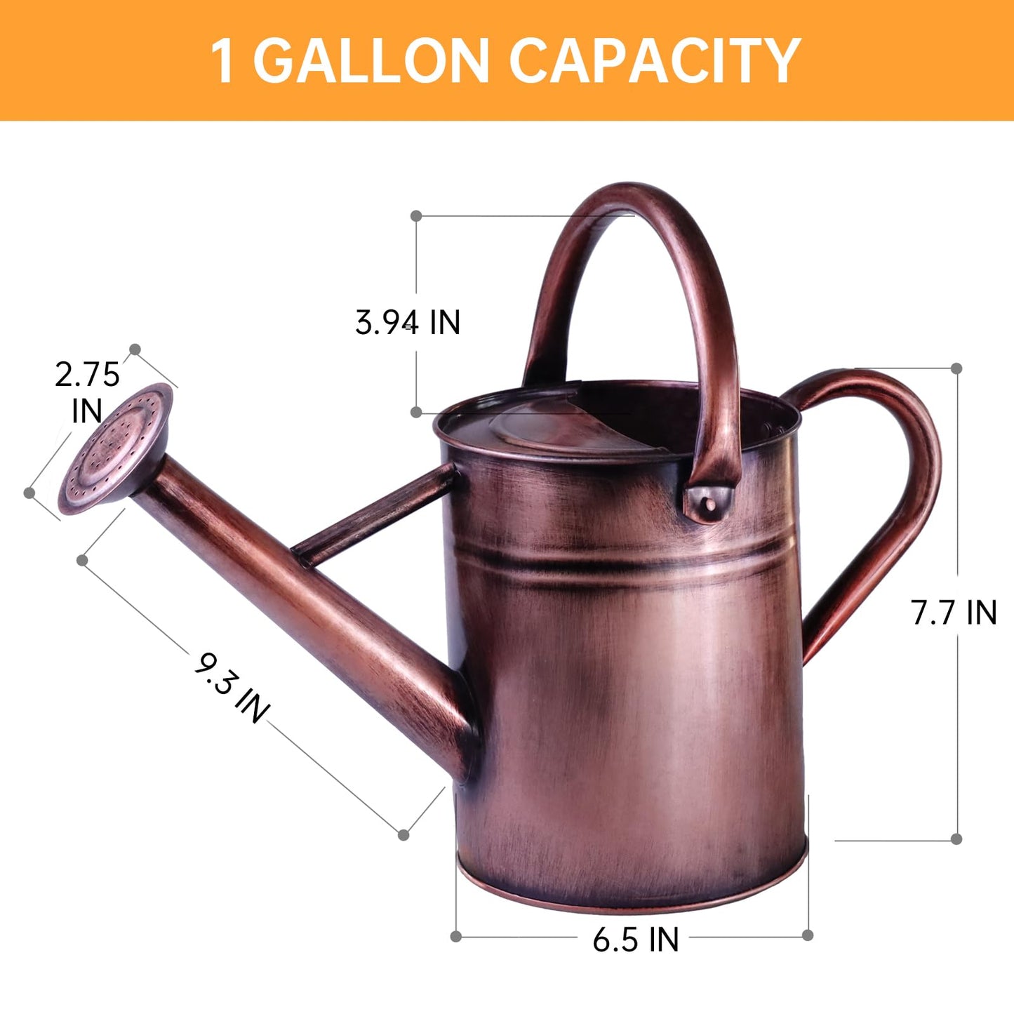 1 Gallon Metal Watering Can for Outdoor & Indoor Use, Perfect for Garden Flower, Houseplants,