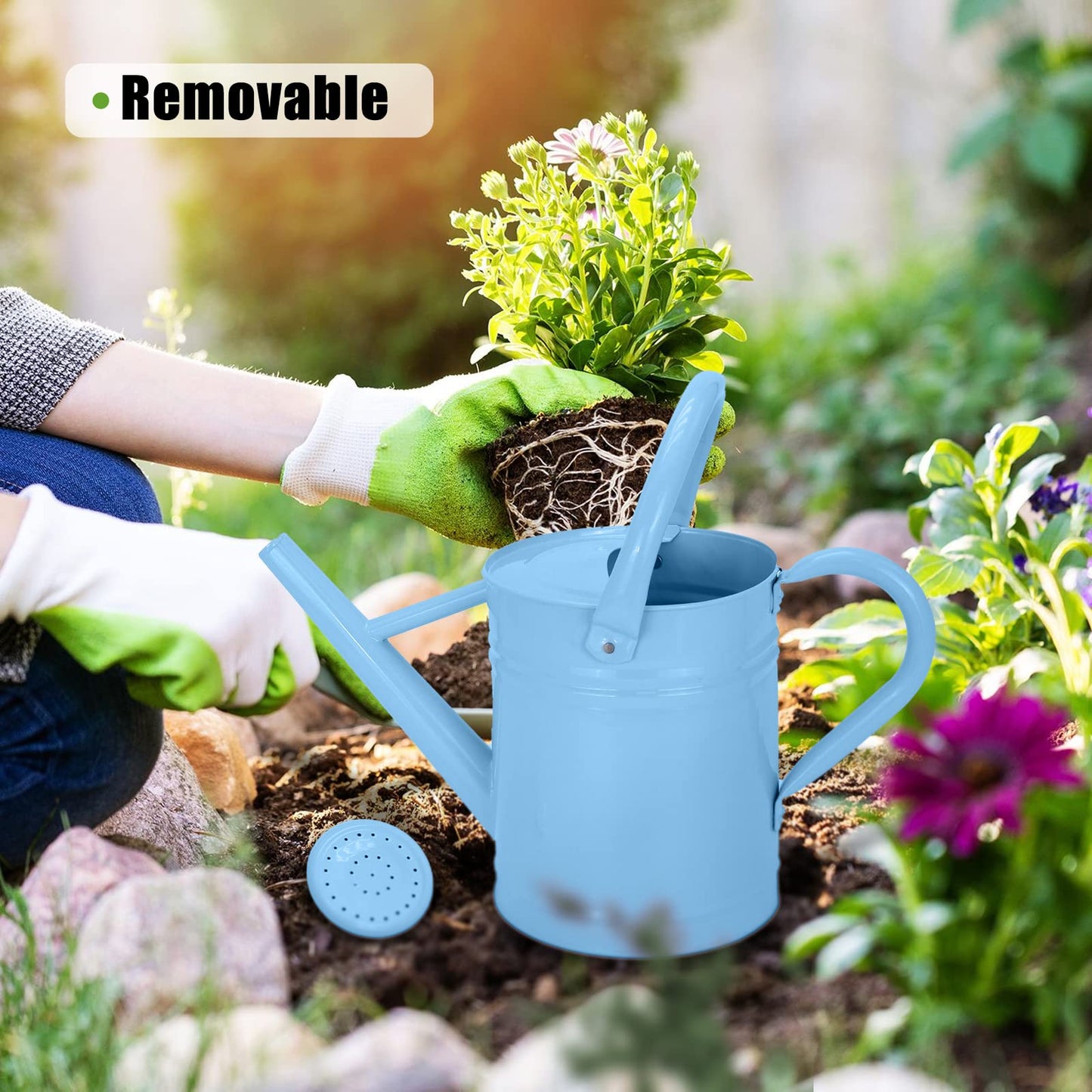 Metal Watering Can (1 Gallon) for Outdoor&Indoor Plants with Free Small Watering can for Kids, Plant Watering Can with Removable spout, Perfect for Garden Flower, Houseplants, Blue