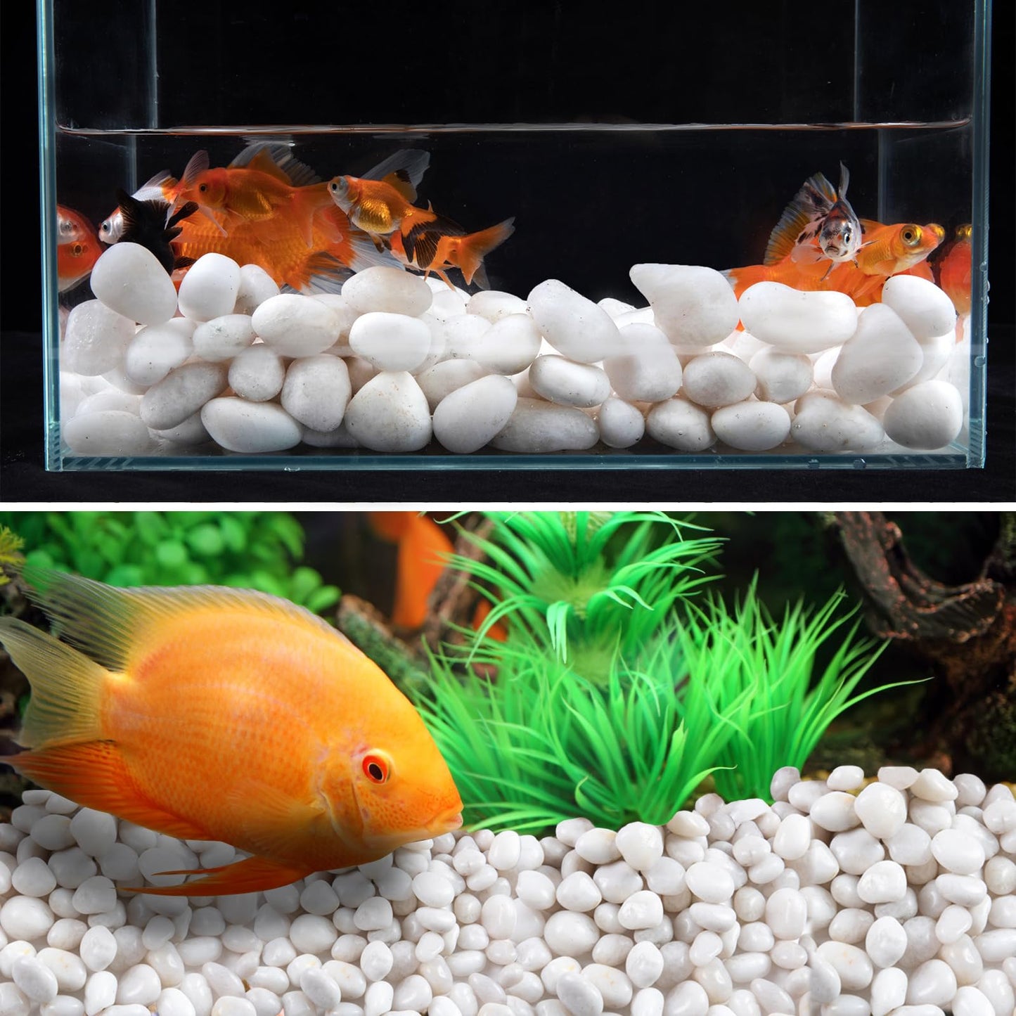 High Polished White Pebbles for Indoor Plants- Aquarium Fish Tank -Outdoor Garden Landscaping