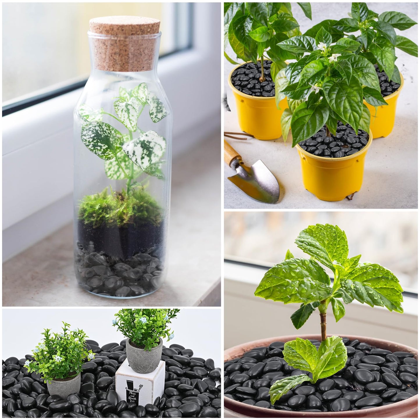 Black Decorative Pebbles for Plants- River Rocks for Outdoor Landscaping- 0.3"-0.8" inch High Polished Stones for Aquarium, Terrarium,Vases, Home Decor