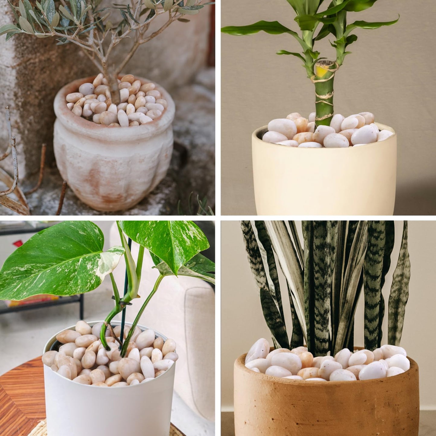 Cream White Decorative Pebbles for Plants- River Rocks for Outdoor Landscaping- 0.3"-0.8" inch High Polished Stones for Aquarium, Terrarium,Vases, Home Decor