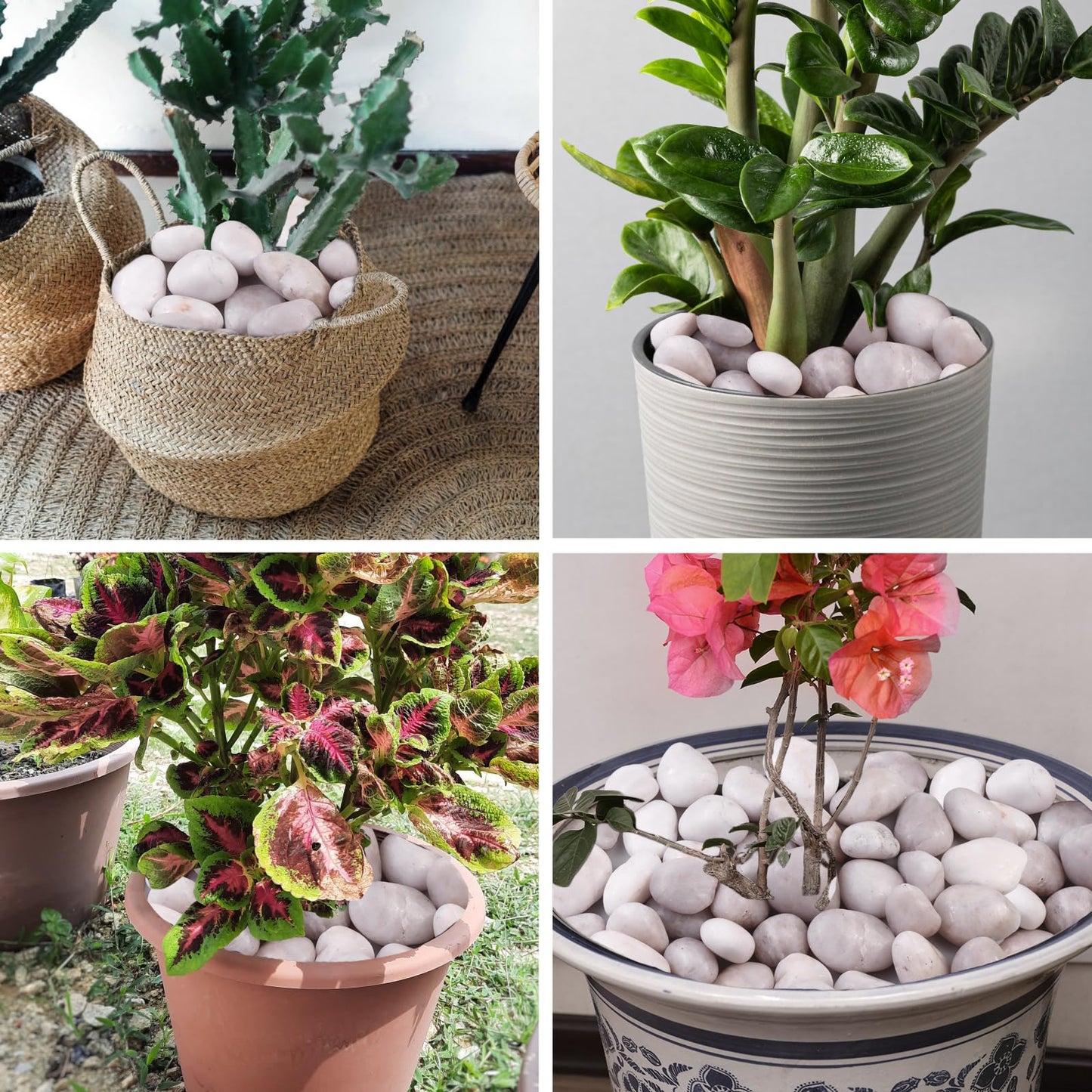 High Polished White Pebbles for Indoor Plants- Aquarium Fish Tank -Outdoor Garden Landscaping