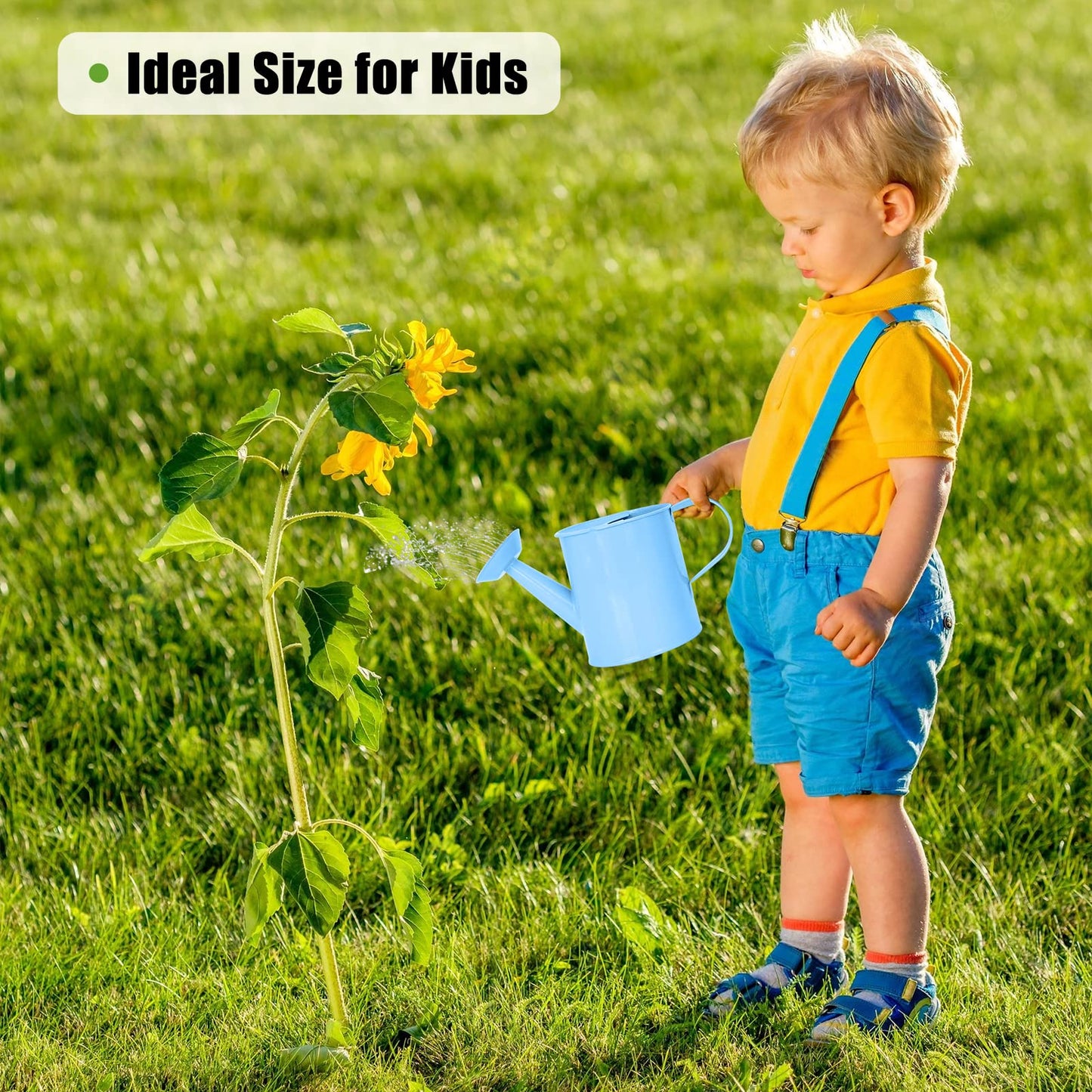 Metal Watering Can (1 Gallon) for Outdoor&Indoor Plants with Free Small Watering can for Kids, Plant Watering Can with Removable spout, Perfect for Garden Flower, Houseplants, Blue