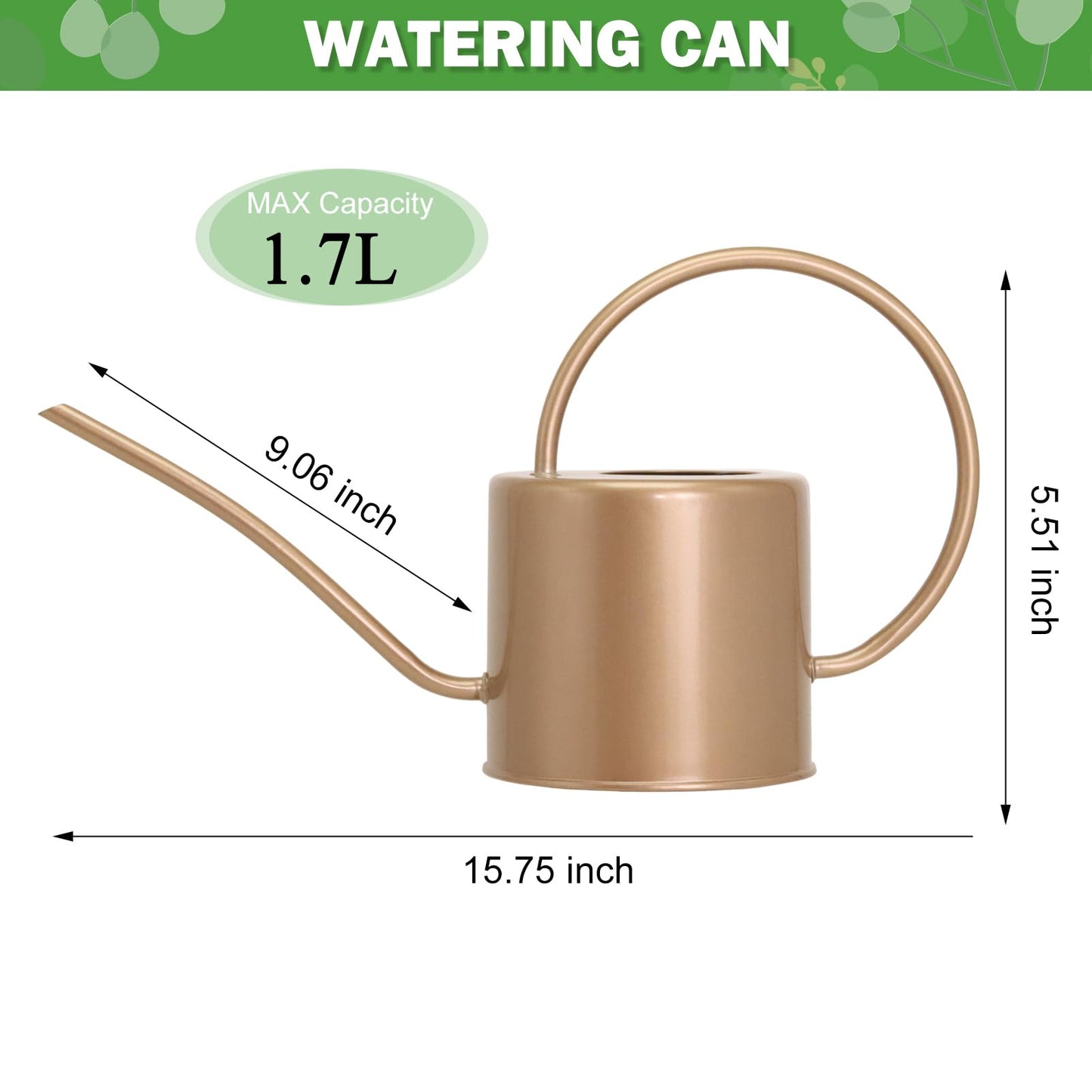 Indoor Long Spout Watering Can for Houseplants , Succulents or Outdoor Garden Flower, 1.7L / 40 oz