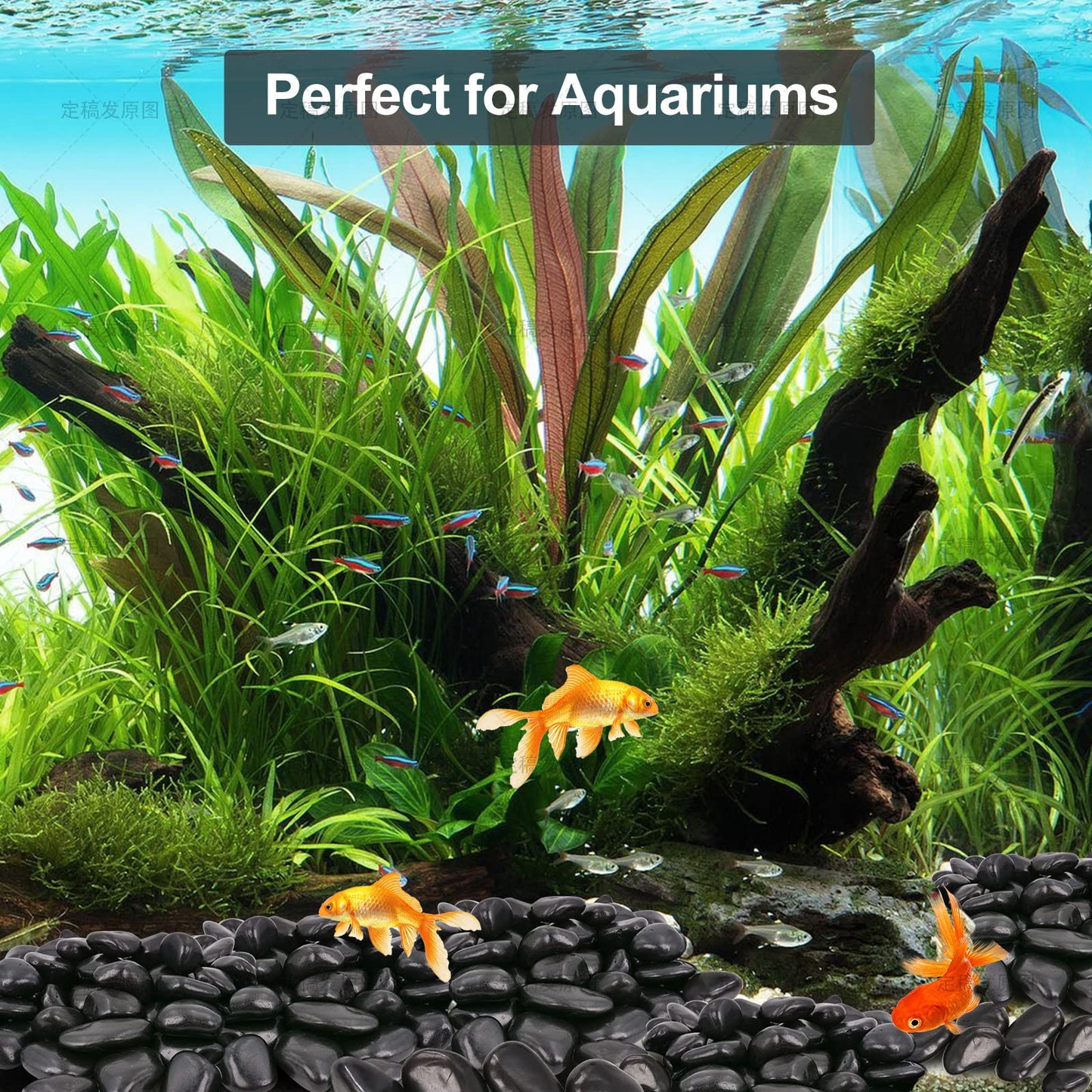 Black River Rocks for Landscaping-Polished Pebbles for Plants-Garden Decorative Stones-1-2" Large Plant Rocks,Ideal for Aquarium, Home Decor