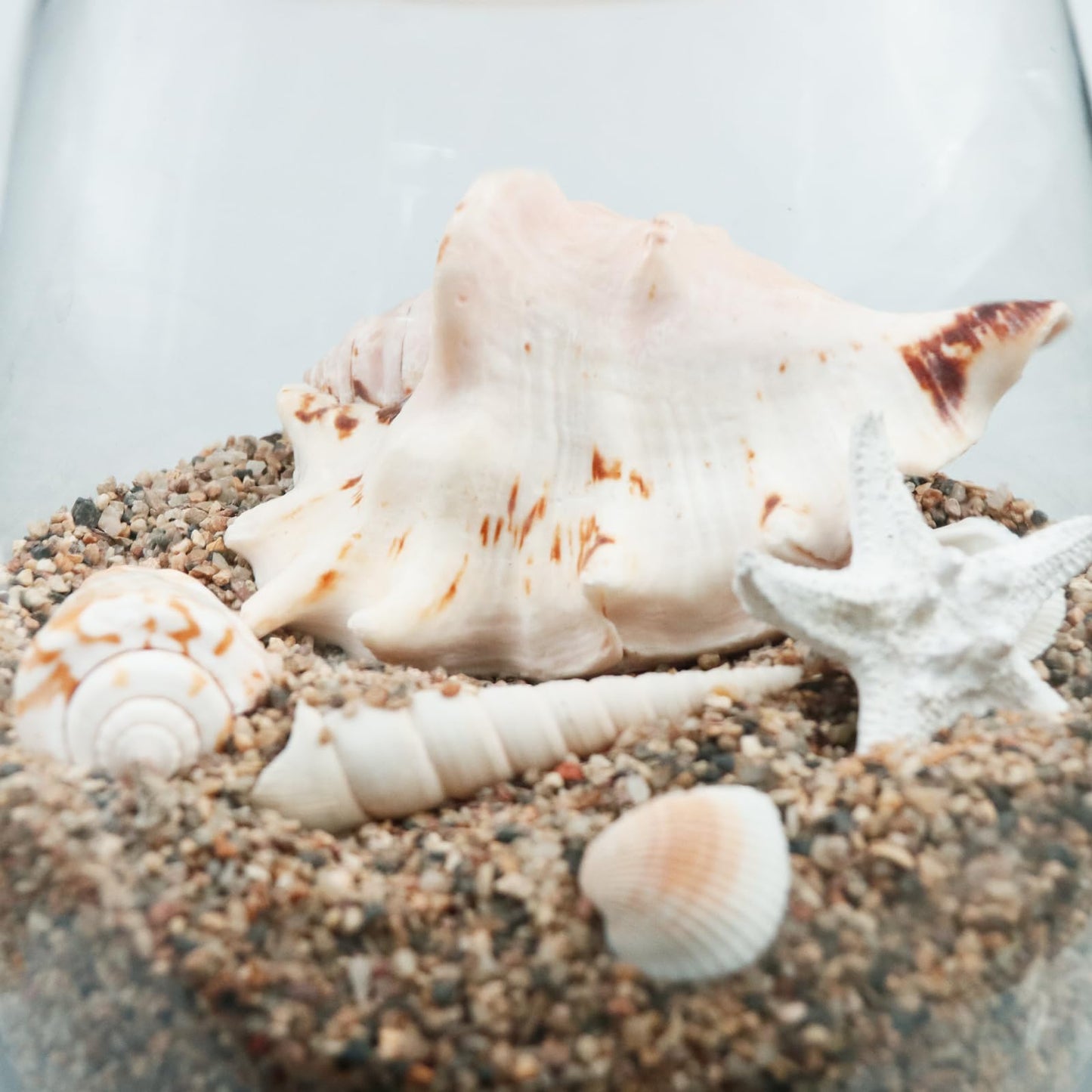 100% Natural Sand, Multi-Purpose Mixed Silica Sand for Fire Pits, Aquariums and Landscaping