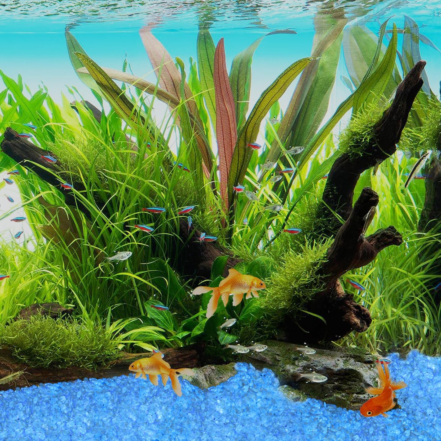 Glow in the Dark Stones - Blue Glow Rocks Pebbles for Outdoor Garden Landscaping Walkway & Indoor Decorative Glowing Stones for Aquarium Fish Tank