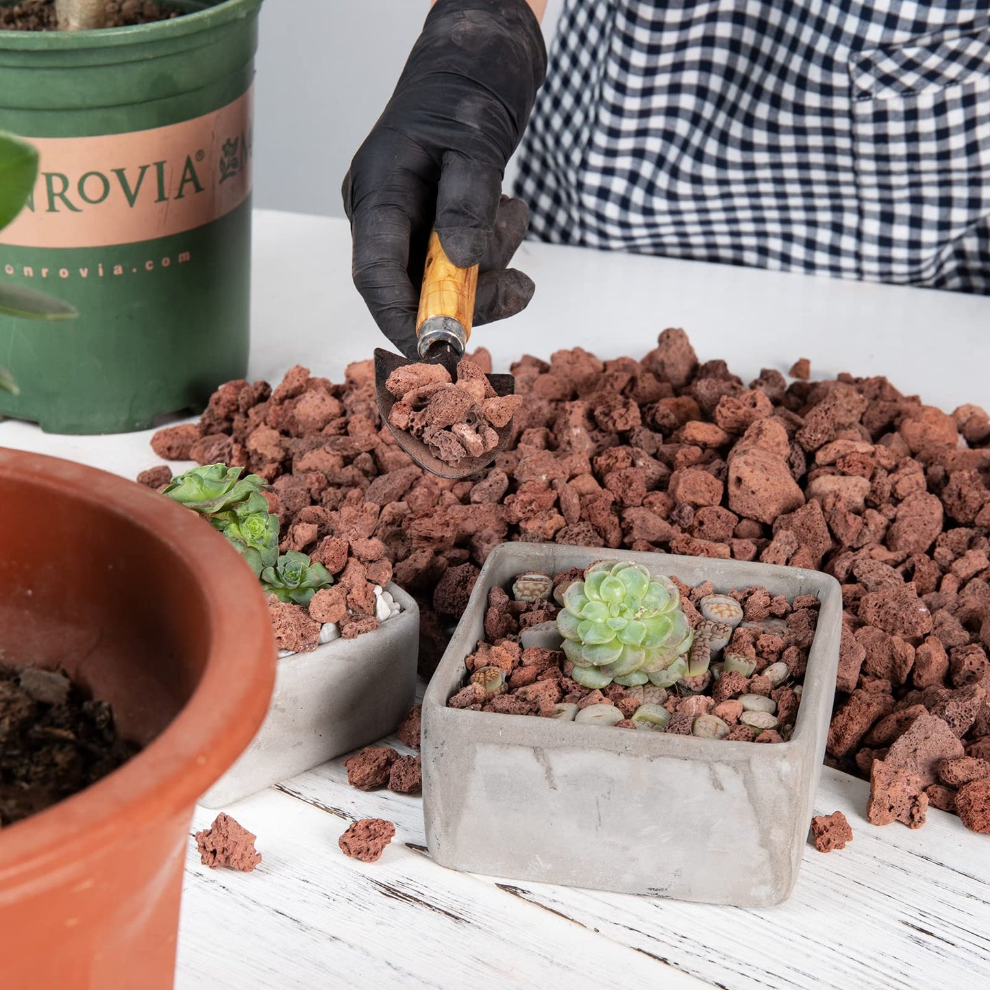 Natural Lava Rocks -Ideal for Fireplaces Fire Pits, Garden Decorative Landscaping, Plants Cultivation and Aquariums,