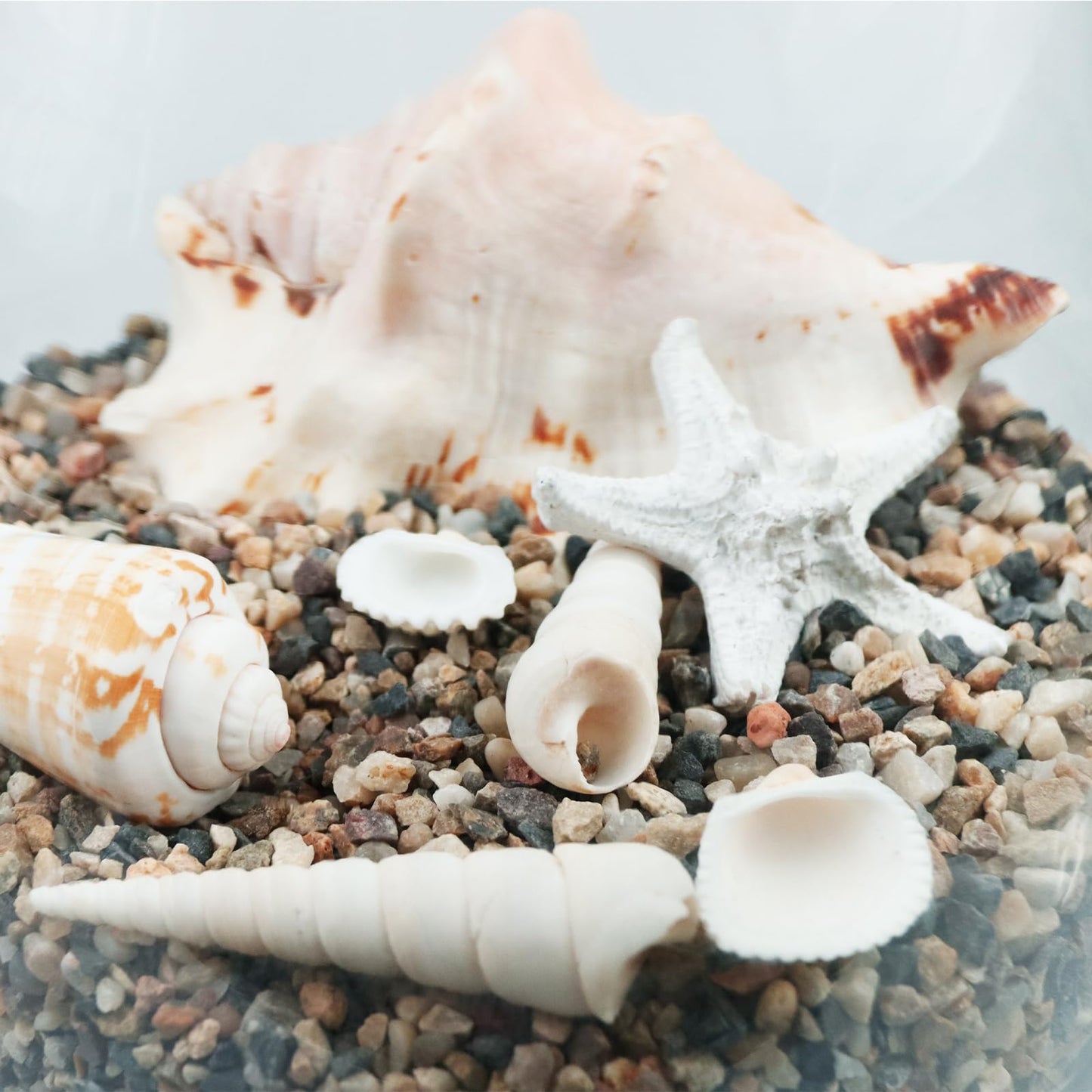 Natural Sand, Multi-Purpose Mixed Silica Sand for Fire Pits, Aquariums, and Landscaping