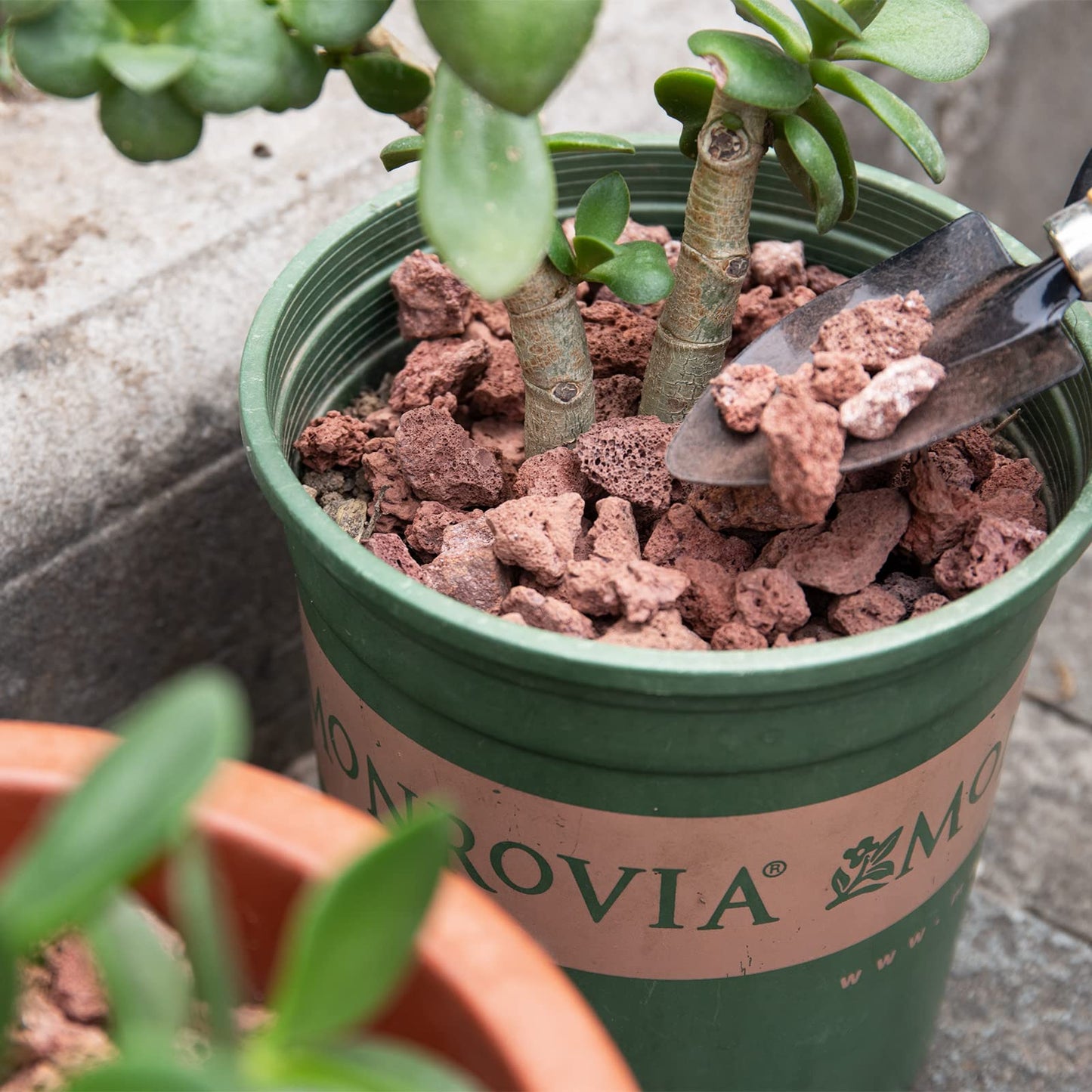 Natural Lava Rocks -Ideal for Fireplaces Fire Pits, Garden Decorative Landscaping, Plants Cultivation and Aquariums,