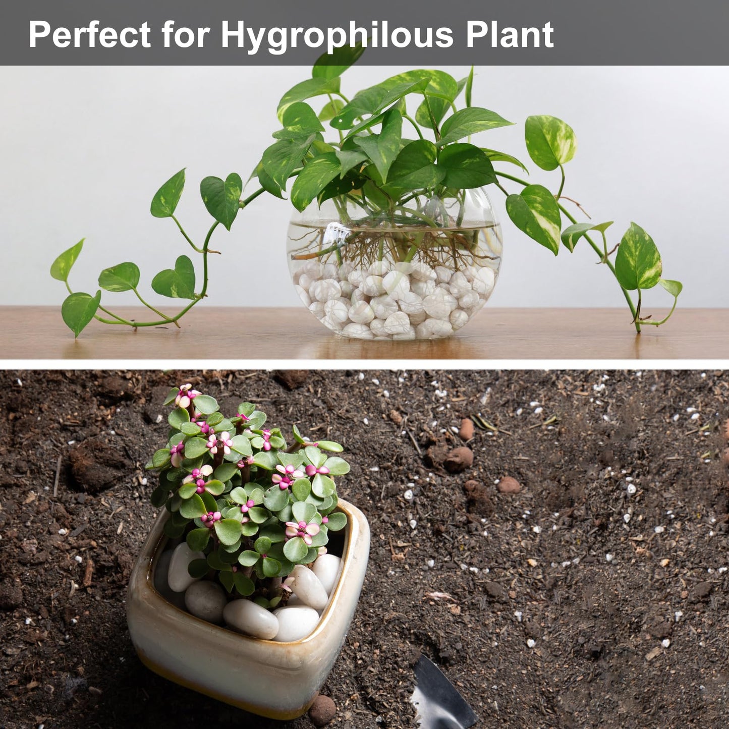 High Polished White Pebbles for Indoor Plants- Aquarium Fish Tank -Outdoor Garden Landscaping