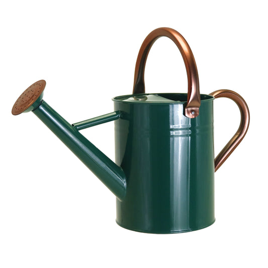 1 Gallon Metal Watering Can  for Outdoor & Indoor Use, Perfect for Garden Flower, Houseplants,