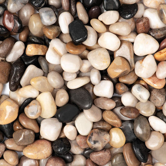 Rain Forest Natural River Rocks Polished Pebbles for Landscaping, Plants, Fish Tank, Vases, Succulents, Crafting, Home Decor ,0.3"-0.5"