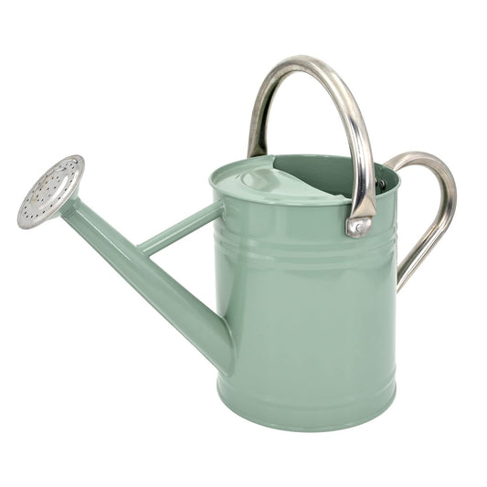 1 Gallon Metal Watering Can  for Outdoor & Indoor Use, Perfect for Garden Flower, Houseplants,