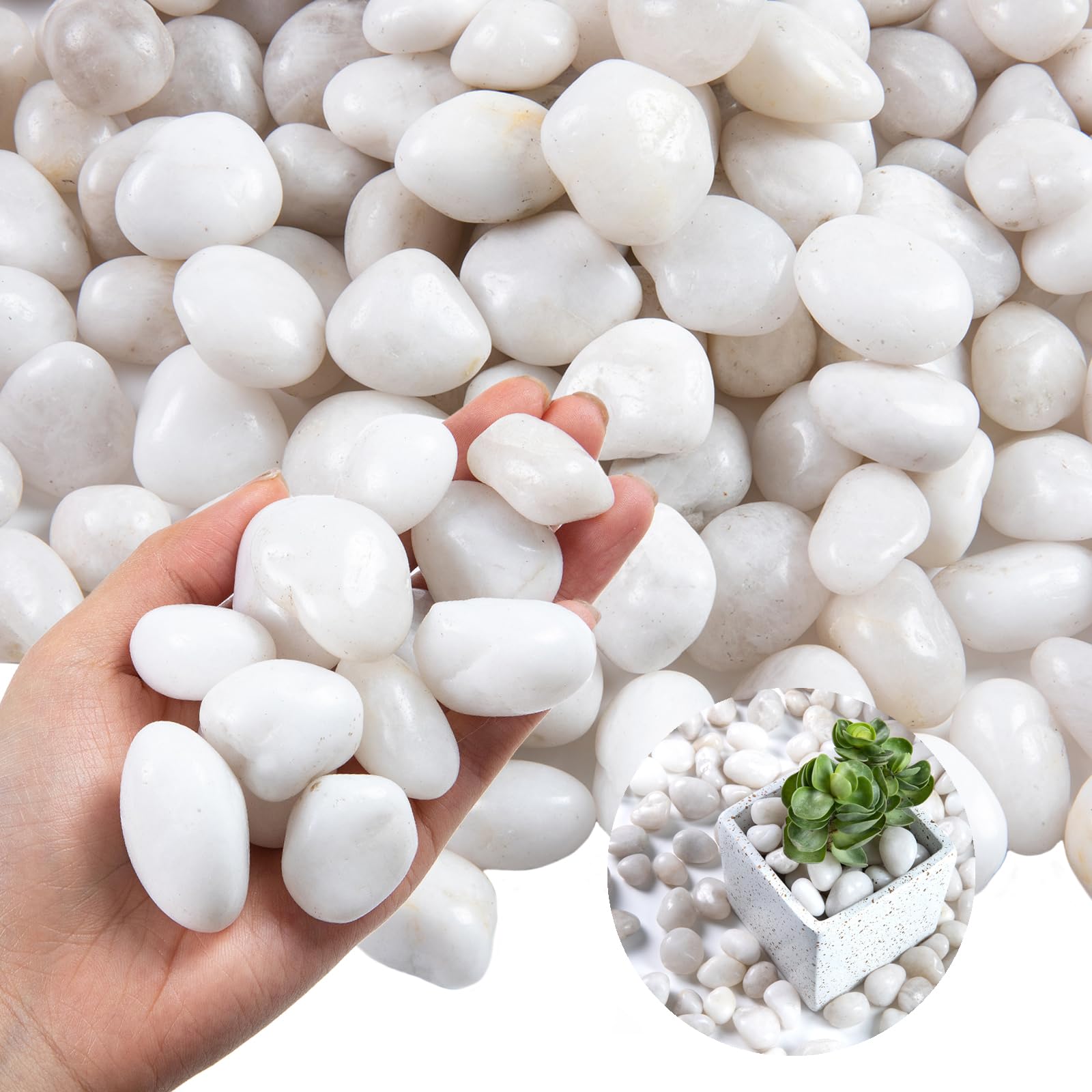 High Polished White Pebbles for Indoor Plants- Aquarium Fish Tank -Out –  Ausluru