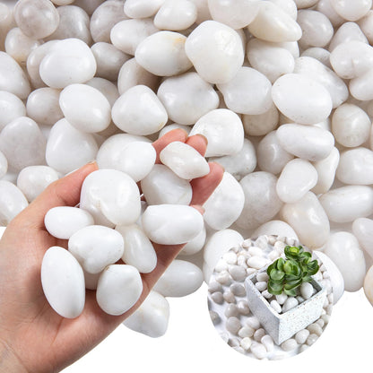 High Polished White Pebbles for Indoor Plants- Aquarium Fish Tank -Outdoor Garden Landscaping