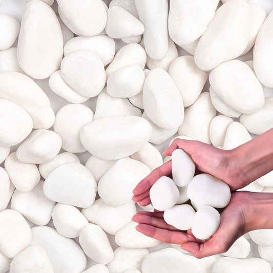 Snow White River Rocks for Landscaping- Plant,Ideal for Aquarium, Home Decor 1"-2"
