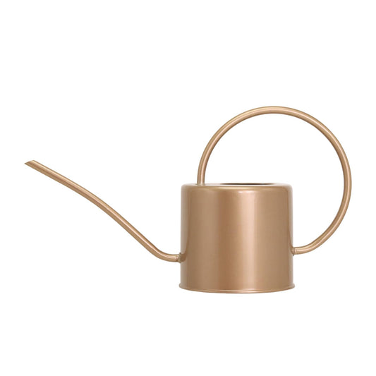 Indoor Long Spout Watering Can for Houseplants , Succulents or Outdoor Garden Flower, 1.7L / 40 oz
