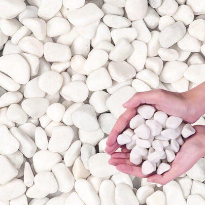 Snow White River Rocks for Landscaping- Plant,Ideal for Aquarium, Home Decor- 0.3"-0.8"