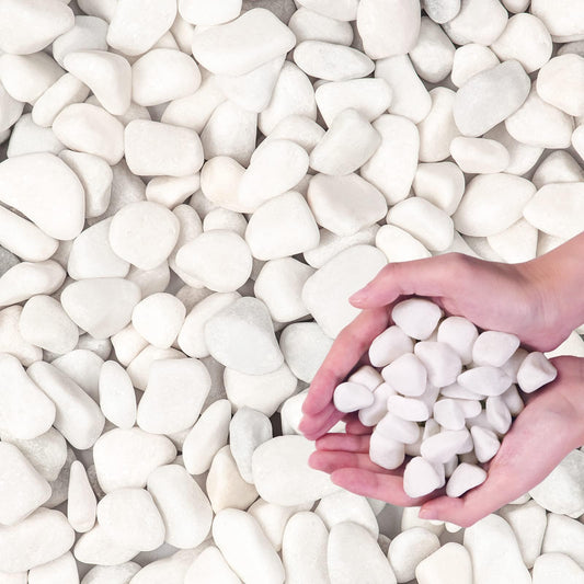 Snow White River Rocks for Landscaping- Plant,Ideal for Aquarium, Home Decor- 0.3"-0.8"