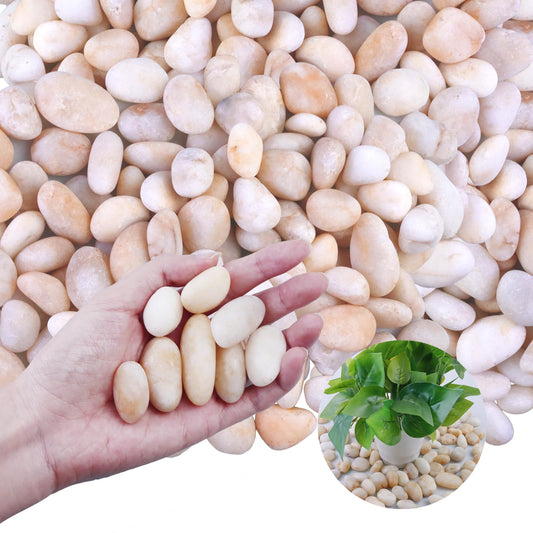 Cream White Decorative Pebbles for Plants- River Rocks for Outdoor Landscaping- 0.3"-0.8" inch High Polished Stones for Aquarium, Terrarium,Vases, Home Decor