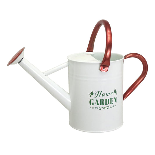 1 Gallon Metal Watering Can  for Outdoor & Indoor Use, Perfect for Garden Flower, Houseplants,