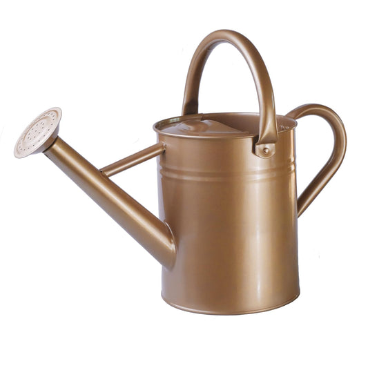 1 Gallon Metal Watering Can  for Outdoor & Indoor Use, Perfect for Garden Flower, Houseplants,