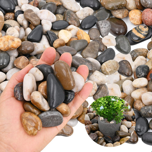 Rain Forest Decorative Pebbles for Plants- River Rocks for Outdoor Landscaping- 0.3"-0.8" inch High Polished Stones for Aquarium, Terrarium,Vases, Home Decor