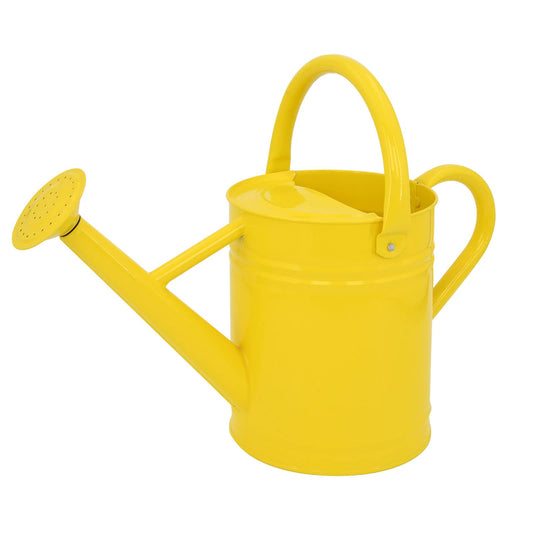 1 Gallon Metal Watering Can  for Outdoor & Indoor Use, Perfect for Garden Flower, Houseplants,