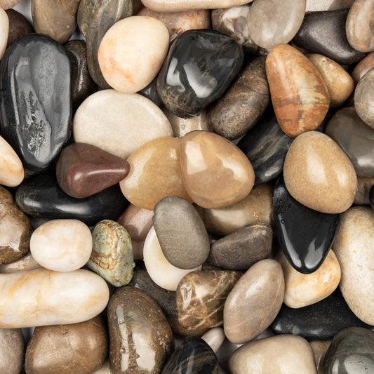 Rain Forest Natural River Rocks Polished Pebbles for Landscaping, Plants, Fish Tank, Vases, Succulents, Crafting, Home Decor ,0.7"-1.6"