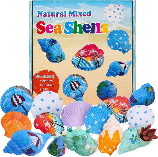 44PCS 4 Kinds Mixed Seashells for Painting - Arts and Crafts,Shell Painting Crafts