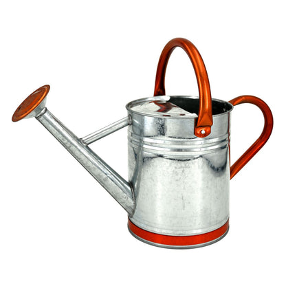 1 Gallon Metal Watering Can  for Outdoor & Indoor Use, Perfect for Garden Flower, Houseplants,