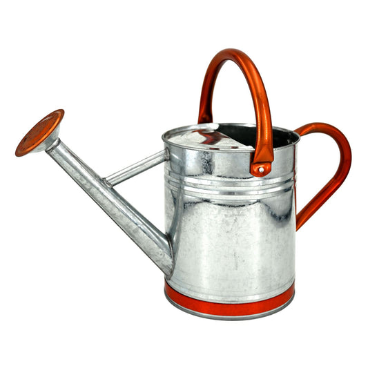 1 Gallon Metal Watering Can  for Outdoor & Indoor Use, Perfect for Garden Flower, Houseplants,