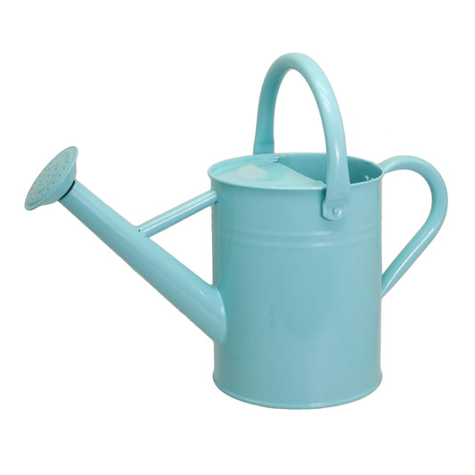 1 Gallon Metal Watering Can  for Outdoor & Indoor Use, Perfect for Garden Flower, Houseplants,