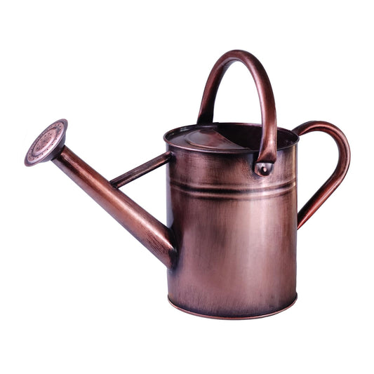 1 Gallon Metal Watering Can  for Outdoor & Indoor Use, Perfect for Garden Flower, Houseplants,