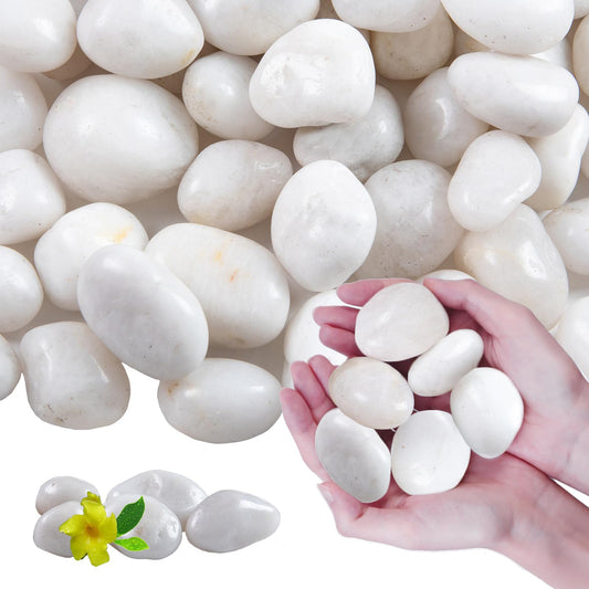 High Polished White Pebbles for Indoor Plants- Aquarium Fish Tank -Outdoor Garden Landscaping