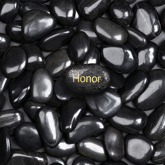 Black Natural River Rocks Polished Pebbles for Landscaping, Plants, Fish Tank, Vases, Succulents, Crafting, Home Decor ,0.7"-1.6"
