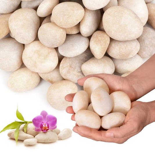 Cream White River Rocks Outdoor Landscaping- Polished Pebble for Plants – Garden Decorative Stones-1-2" Large Plant Rocks,Ideal for Aquarium, Home Decor