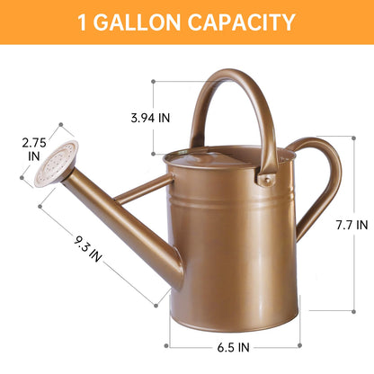 1 Gallon Metal Watering Can  for Outdoor & Indoor Use, Perfect for Garden Flower, Houseplants,