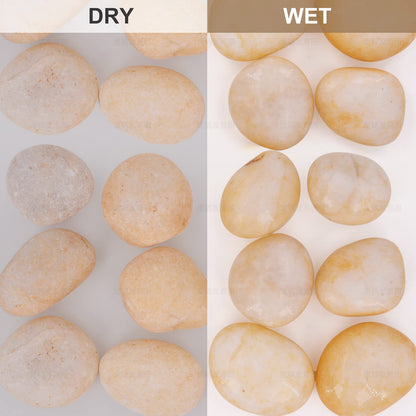 Cream White River Rocks Outdoor Landscaping- Polished Pebble for Plants – Garden Decorative Stones-1-2" Large Plant Rocks,Ideal for Aquarium, Home Decor